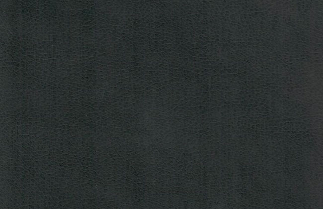 Coronado/Black • Polyester: 28% | Cotton: 3% | Polyurethane: 69% | Abrasions: 50,000